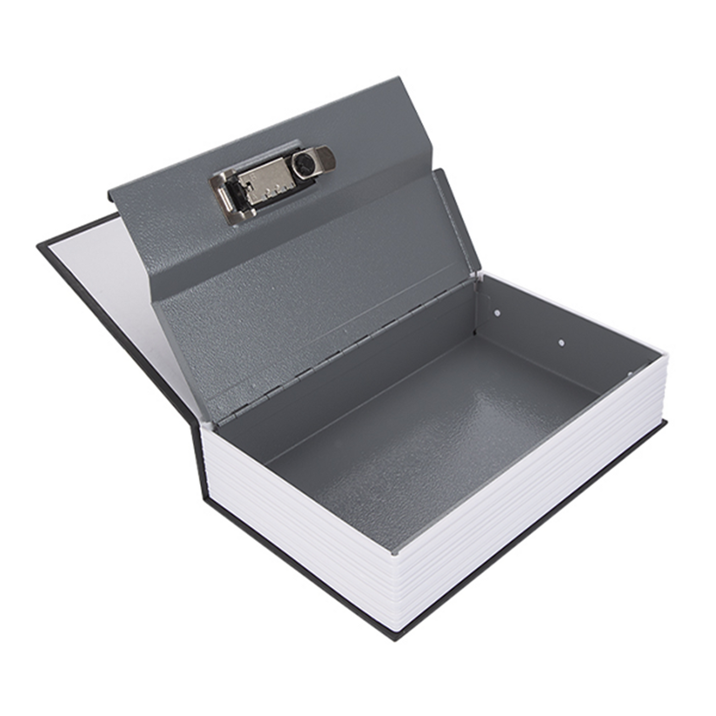 Dictionary Book Safe